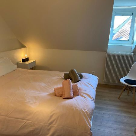 Les Moulins Tres Agreable Et Idealement Situe Apartamento Colmar Exterior foto