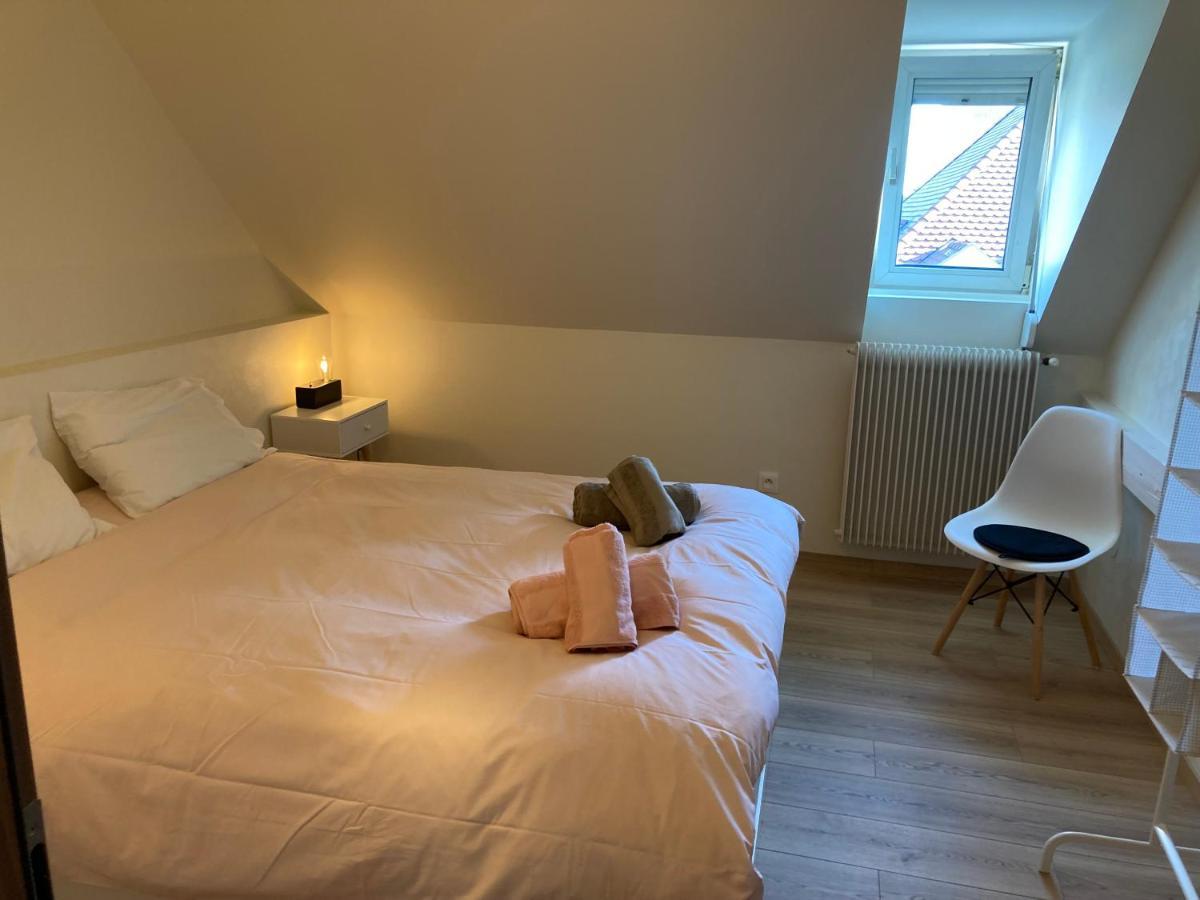Les Moulins Tres Agreable Et Idealement Situe Apartamento Colmar Exterior foto