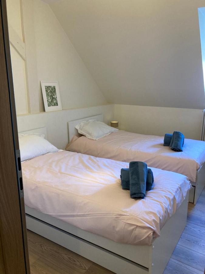 Les Moulins Tres Agreable Et Idealement Situe Apartamento Colmar Exterior foto