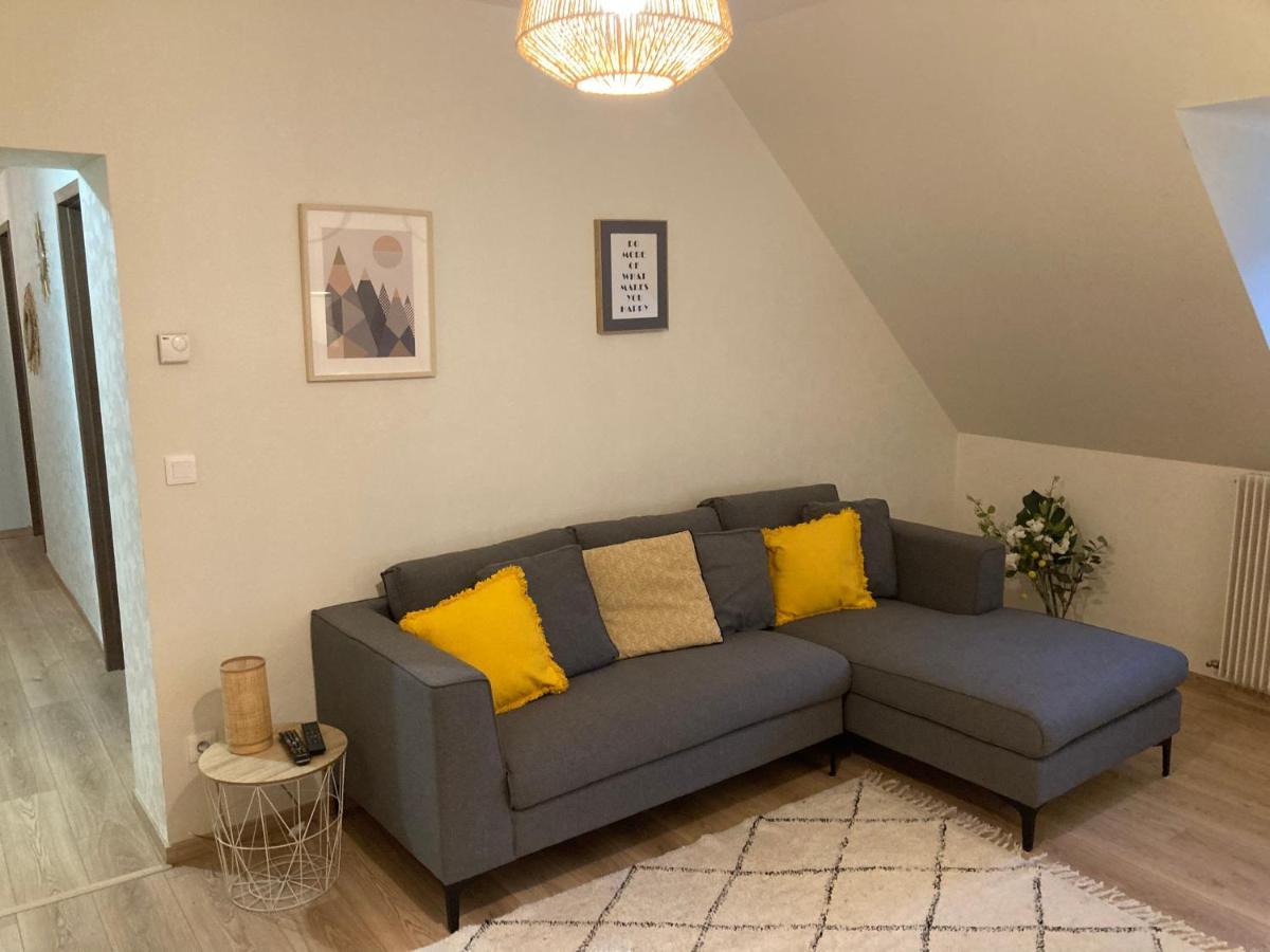 Les Moulins Tres Agreable Et Idealement Situe Apartamento Colmar Exterior foto